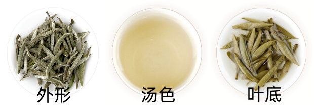 白毫银针