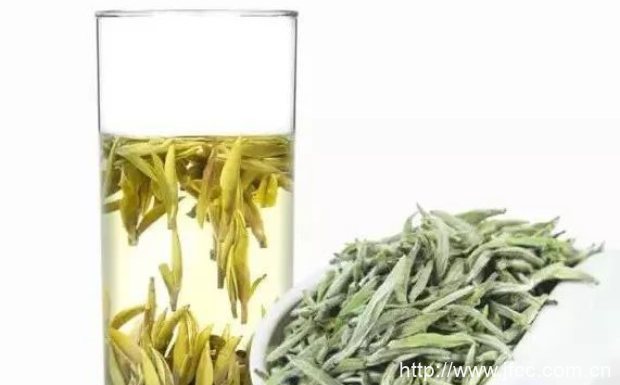 君山银针属于什么茶