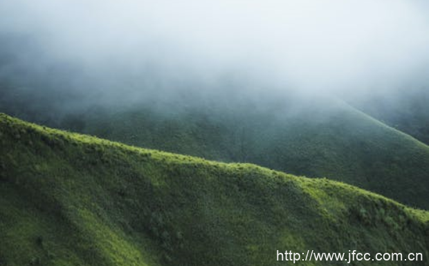 霍山黄芽的产地及品质特征