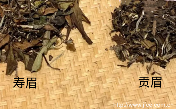 贡眉与寿眉有什么区别呢