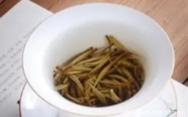信阳毛尖哪种好