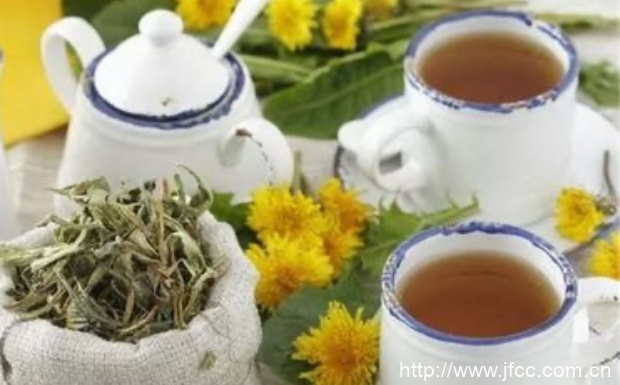 蒲公英茶有什么功效