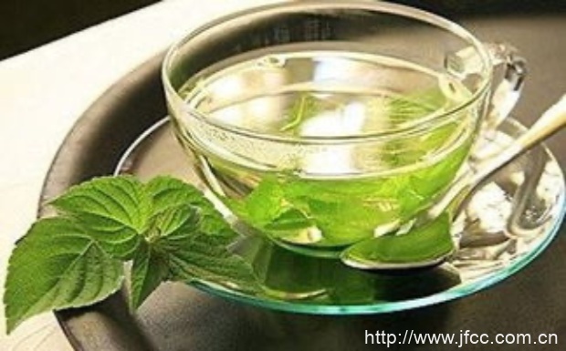 什么是薄荷茶