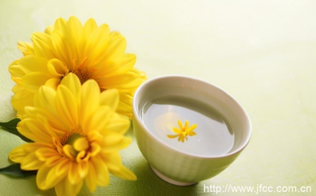贡菊是什么菊花